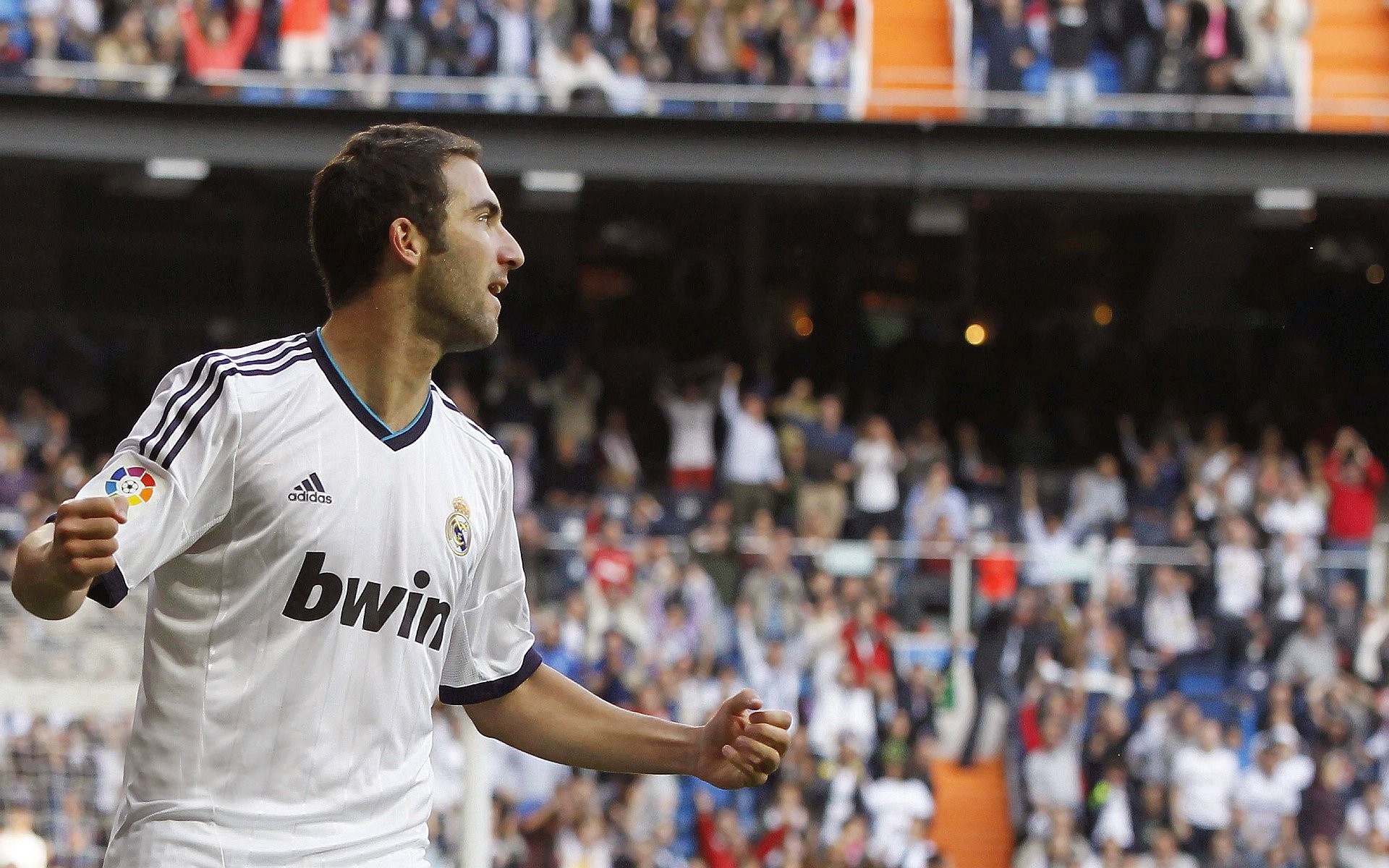 体育界跨界风暴,安哥拉足球逆袭多特蒙德,范戴克F1赛场称霸年度争冠